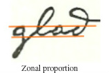 Jung, zonal proportion