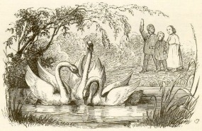 Three Swans