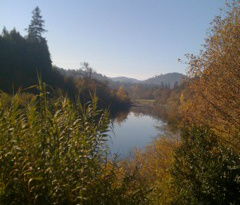 Home on the Russian River