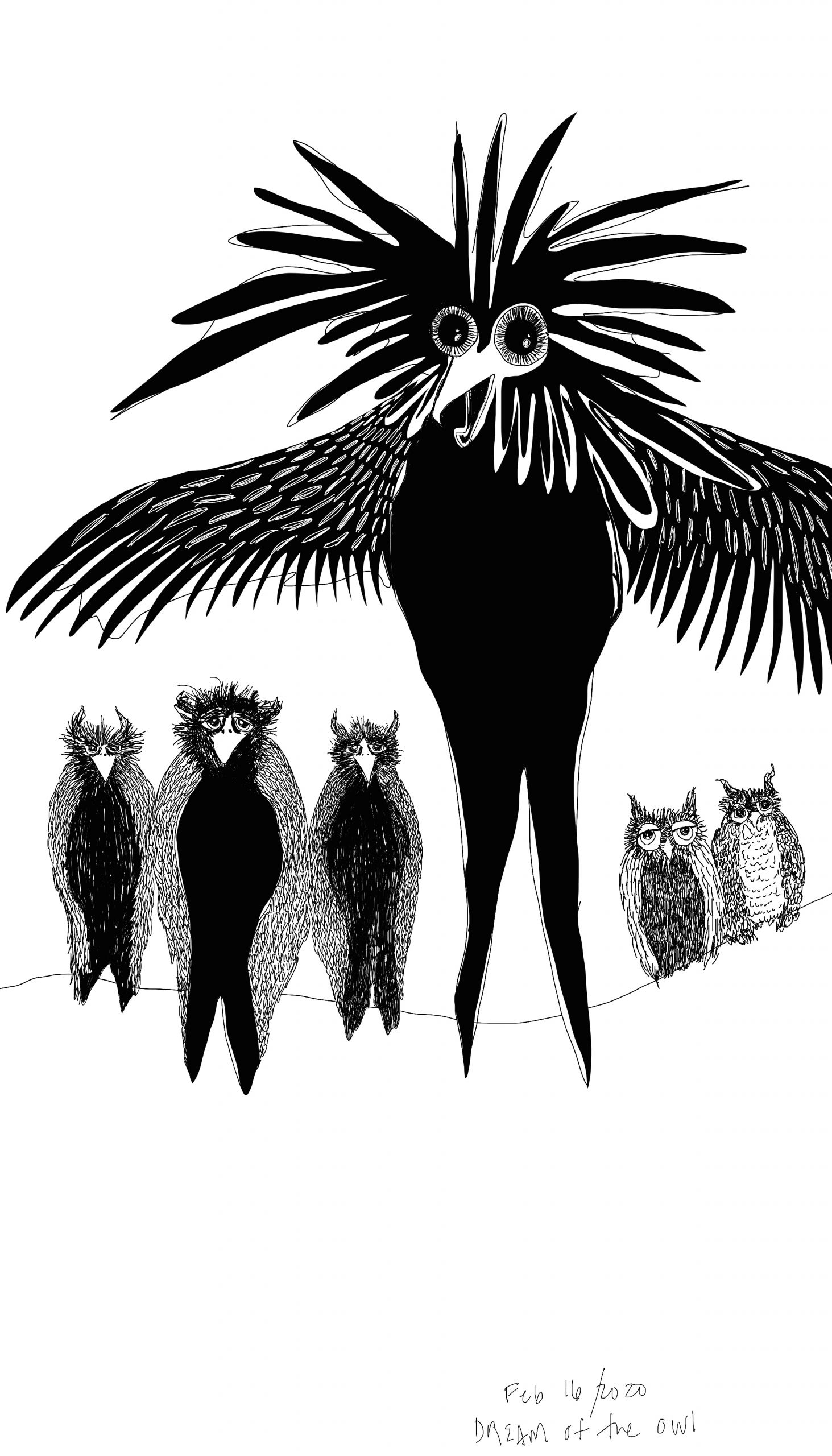 Image of wise owls. Artwork by the author.