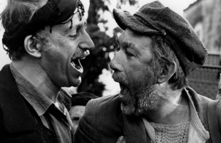 Zorba, arguing