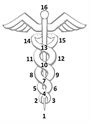 Caduceus