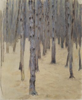 Moser, 1907, Pine Forest in Winter